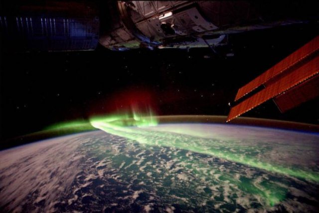 Amazing Pictures (55 pics)