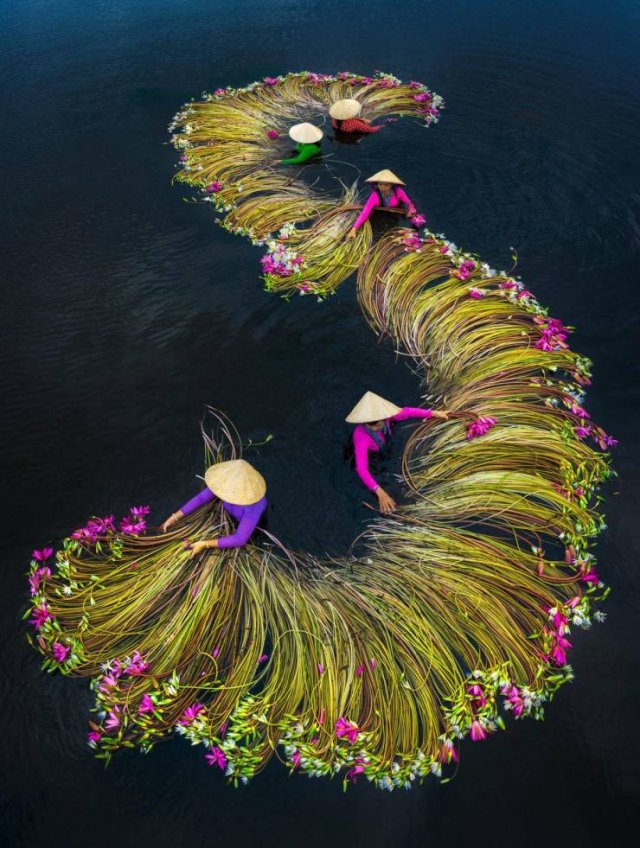 Amazing Pictures (55 pics)