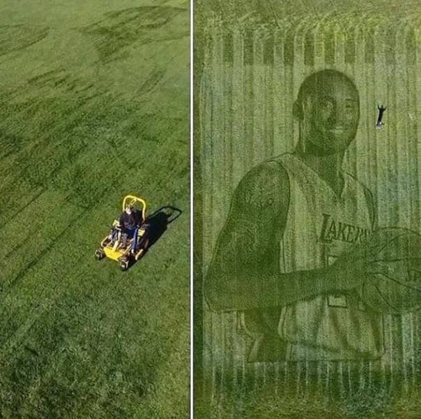 Amazing Pictures (55 pics)