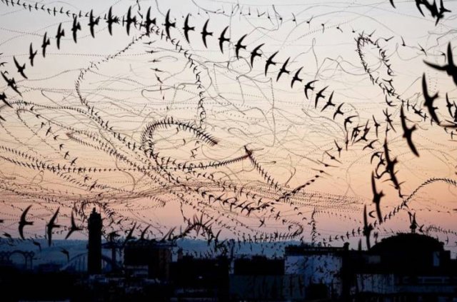 Amazing Pictures (55 pics)