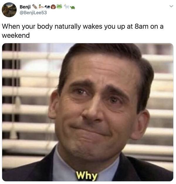 So True (21 pics)