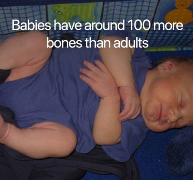 Science Facts (21 pics)