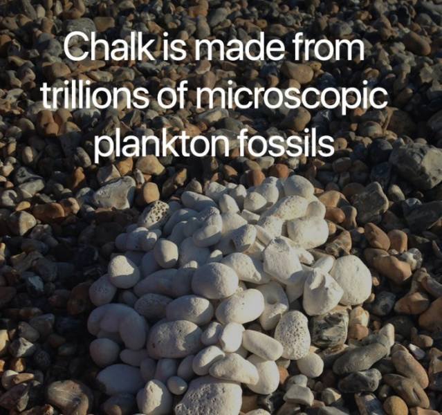Science Facts (21 pics)