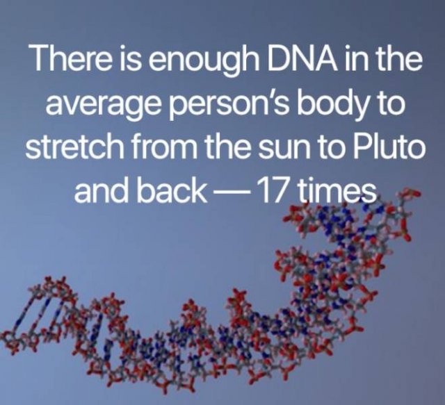 Science Facts (21 pics)