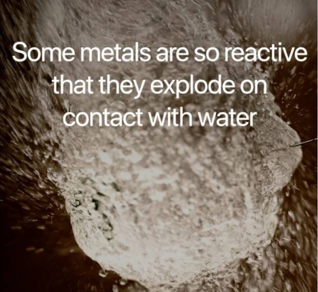 Science Facts (21 pics)