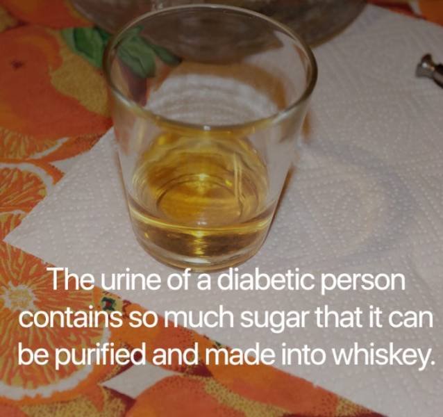 Science Facts (21 pics)