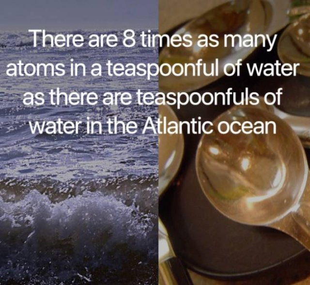 Science Facts (21 pics)