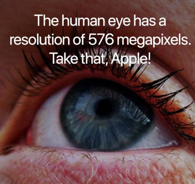 Science Facts (21 pics)