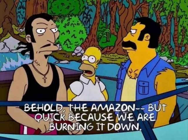 When 'The Simpsons' Creators Know Something (22 pics)