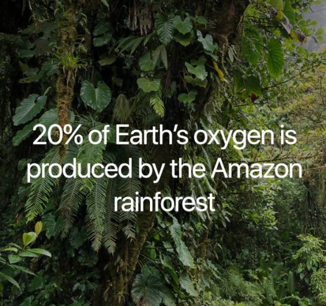 Science Facts (21 pics)