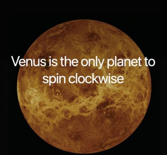 Science Facts (21 pics)