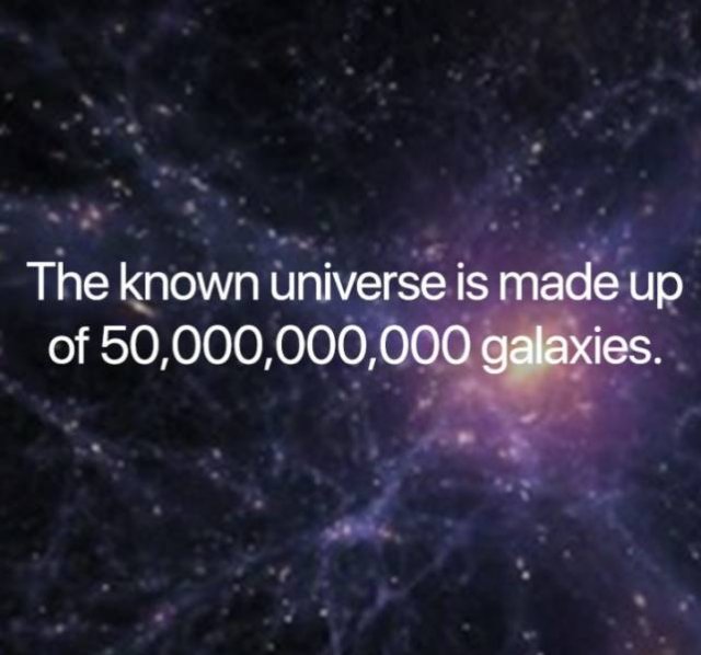 Science Facts (21 pics)