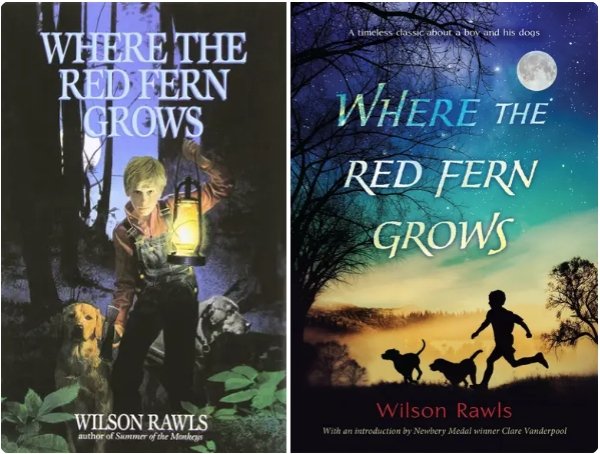 '90s Book Covers Vs Modern Covers (15 pics)