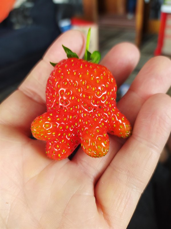 Awesome Things (26 pics)
