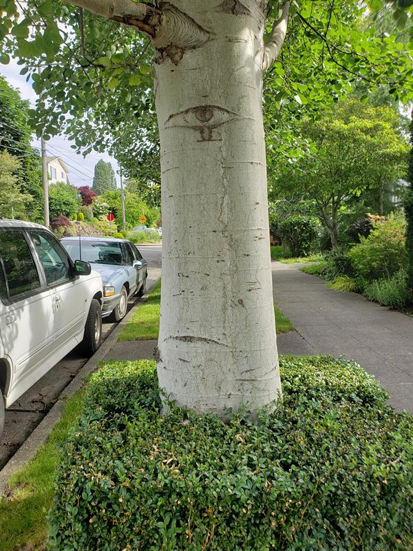 Awesome Things (26 pics)