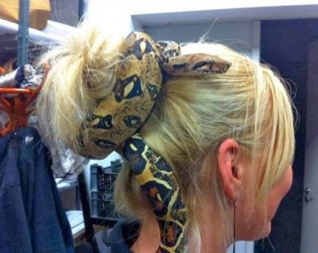 Acid Picdump. Part 1 (96 pics)
