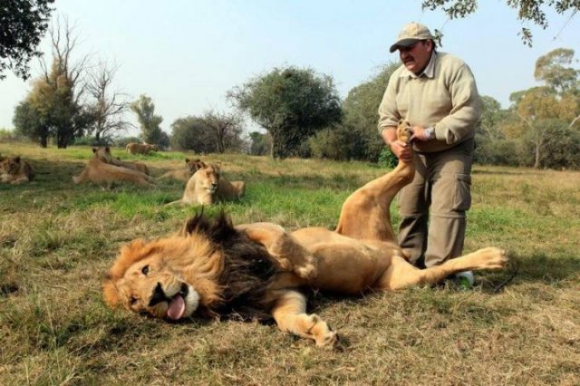 Acid Picdump. Part 1 (96 pics)