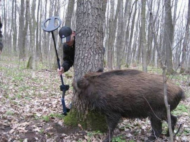 Acid Picdump. Part 1 (96 pics)
