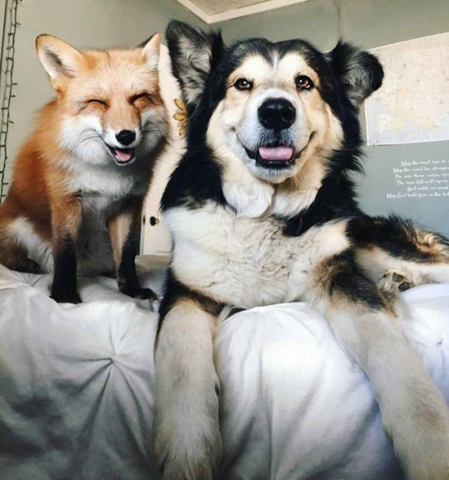 Acid Picdump. Part 1 (96 pics)