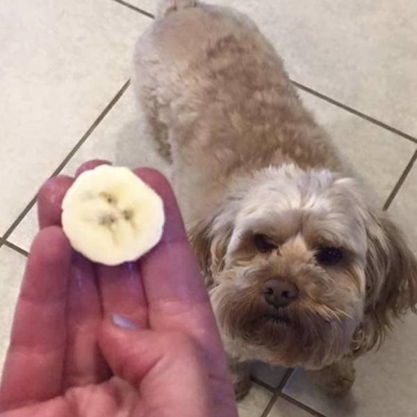 Acid Picdump. Part 2 (96 pics)