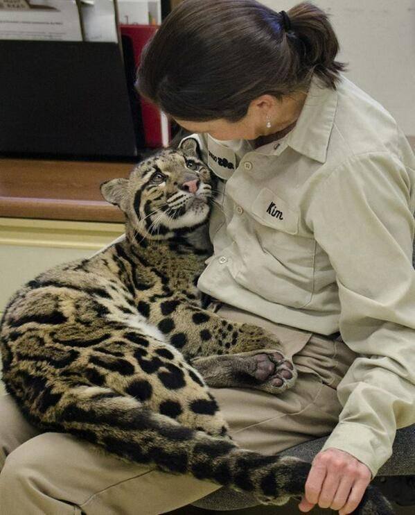 Acid Picdump. Part 1 (96 pics)