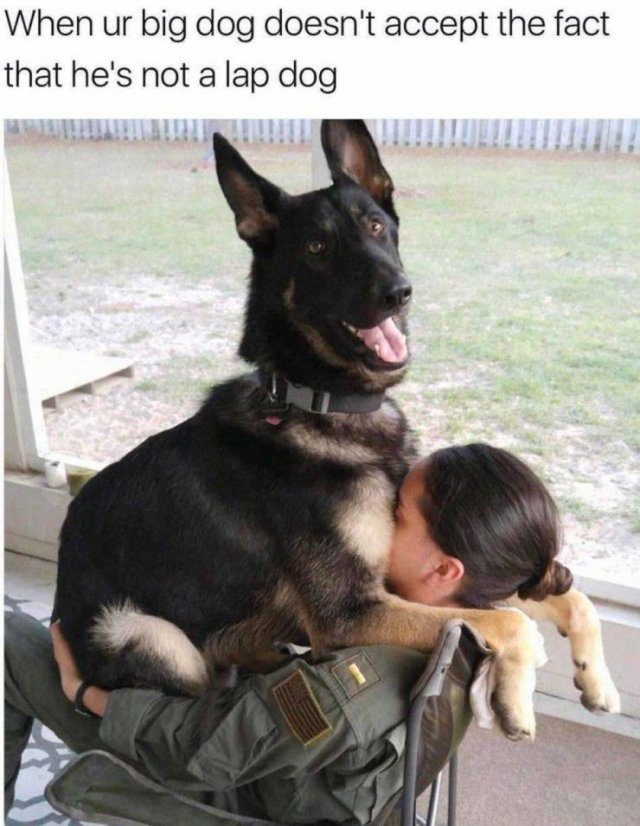 Acid Picdump. Part 2 (96 pics)