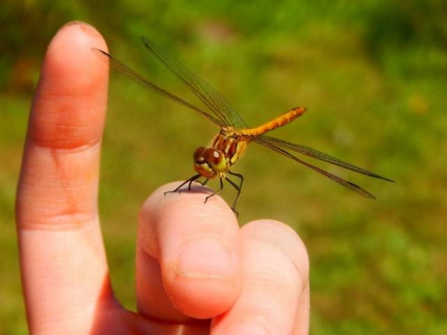 Beautiful Nature Photos (19 pics)