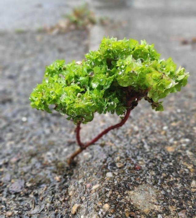 Beautiful Nature Photos (19 pics)
