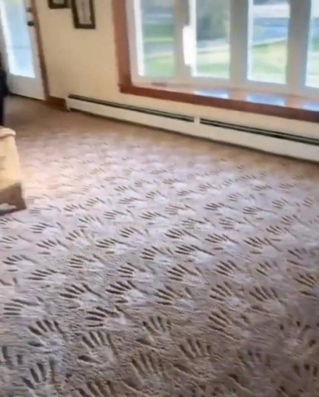 Explanation Needed (50 pics)