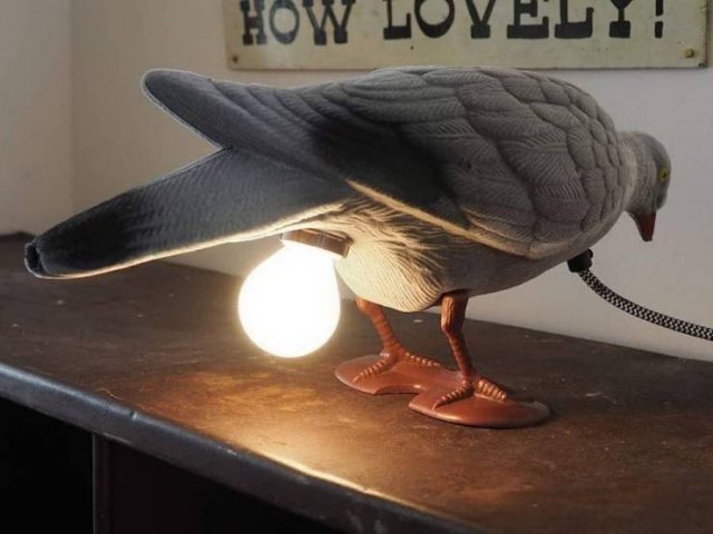 Explanation Needed (50 pics)