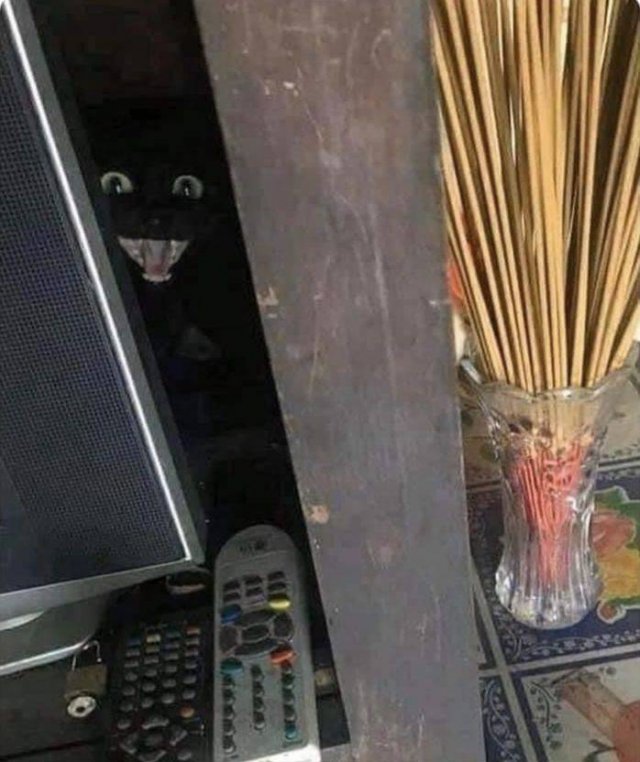 Acid Picdump. Part 2 (94 pics)