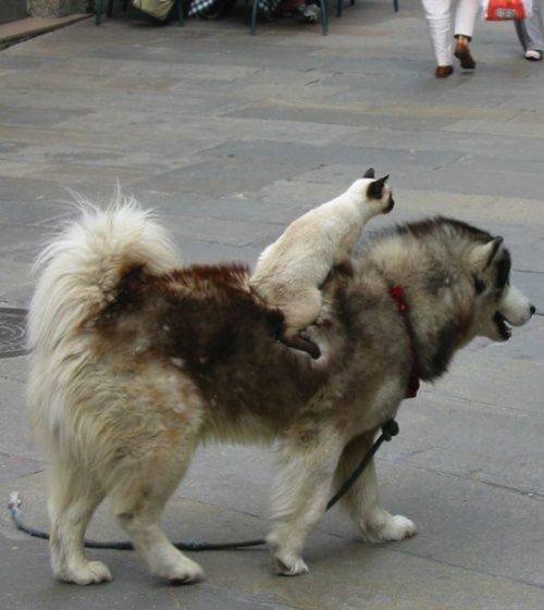 Acid Picdump. Part 2 (94 pics)