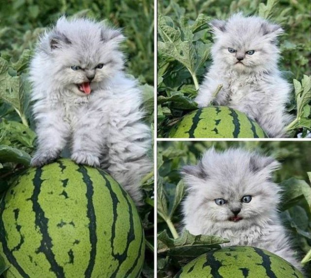Acid Picdump. Part 2 (94 pics)