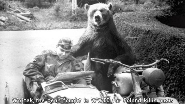 Acid Picdump. Part 2 (94 pics)