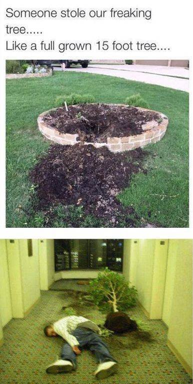 Acid Picdump. Part 2 (94 pics)