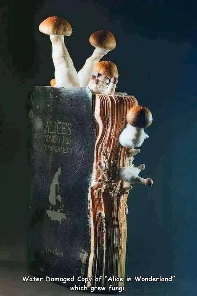 Acid Picdump. Part 2 (94 pics)