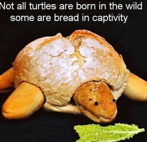 Acid Picdump. Part 2 (94 pics)