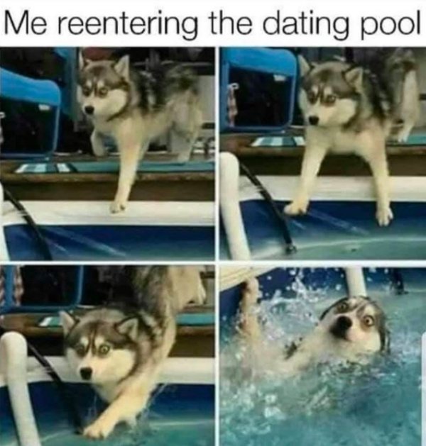 Dating Memes (29 pics)