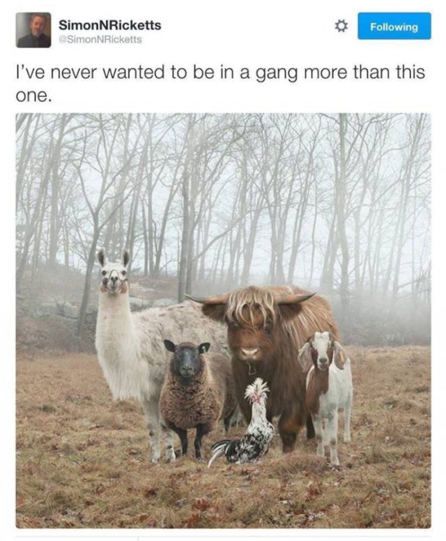 So True (26 pics)