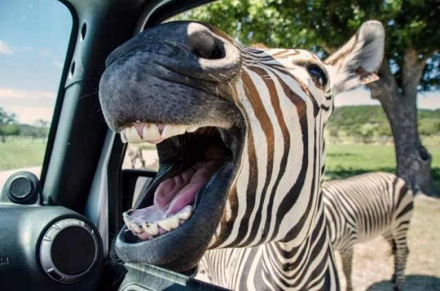 Right Moment (50 pics)
