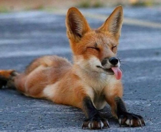 Acid Picdump. Part 2 (94 pics)