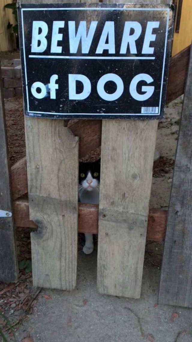 Acid Picdump. Part 2 (94 pics)