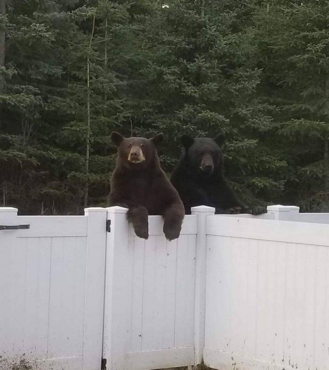 Acid Picdump. Part 2 (94 pics)