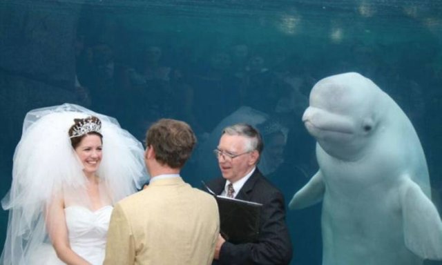 Acid Picdump. Part 2 (94 pics)