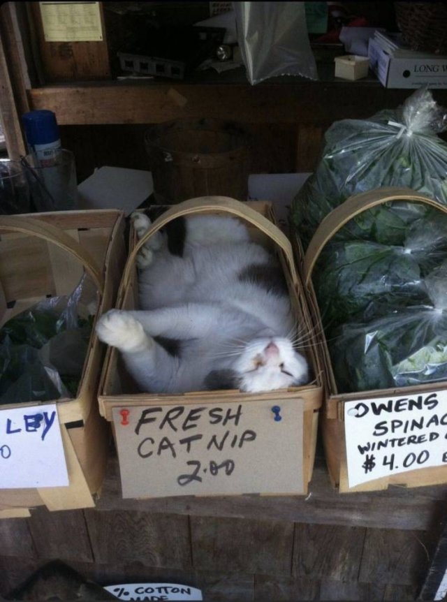 Acid Picdump. Part 2 (94 pics)