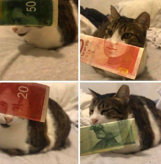 Acid Picdump. Part 2 (94 pics)