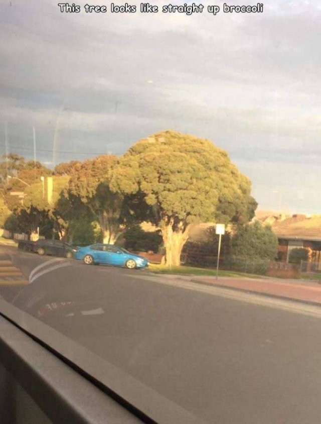 Acid Picdump. Part 2 (94 pics)
