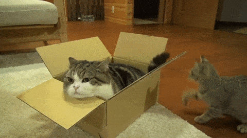 Acid Gifdump, July 1 (25 gifs)