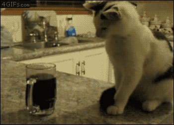 Acid Gifdump, July 1 (25 gifs)