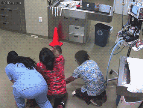 Acid Gifdump, July 1 (25 gifs)